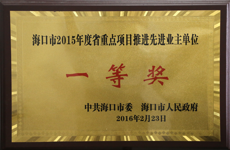 ?？谑?015年度省重點項目推進先進業(yè)主單位一等獎